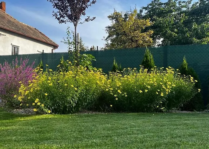 Garden *